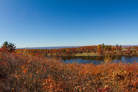 _MG_6209