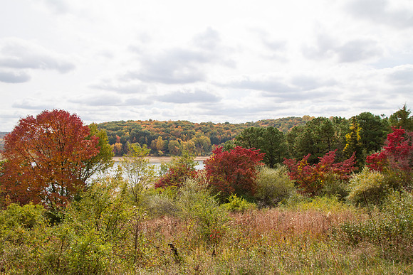 _MG_5762-HDR