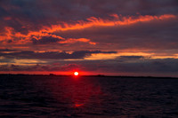 _MG_4263