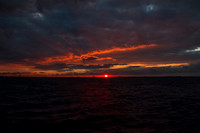 _MG_4266