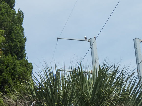 P9250111