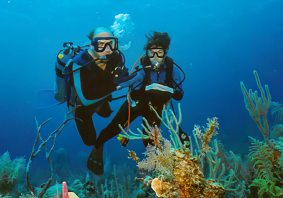 Paul-Karen-Dive-Edit