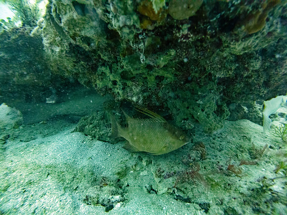 G0110054-Edit