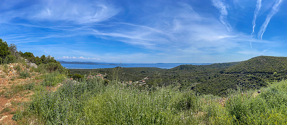 IMG_3515