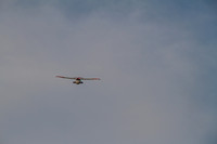_MG_8963