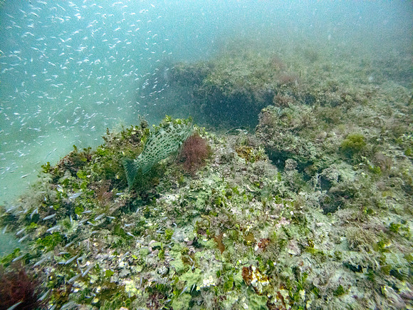 G0160073-Edit
