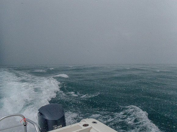 P7030868