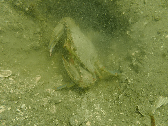 P7160848