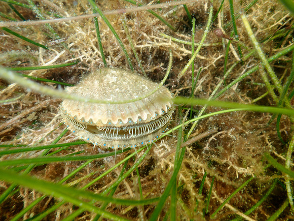 P7130648