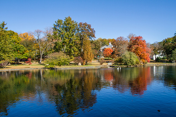 _MG_5546