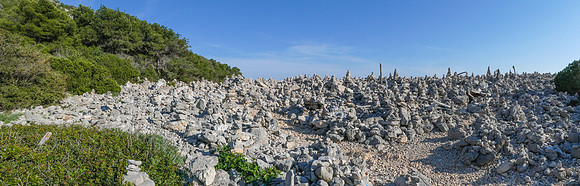 PANA1083