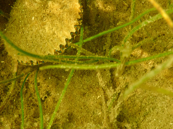 P7120552
