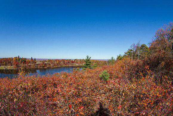 _MG_6205