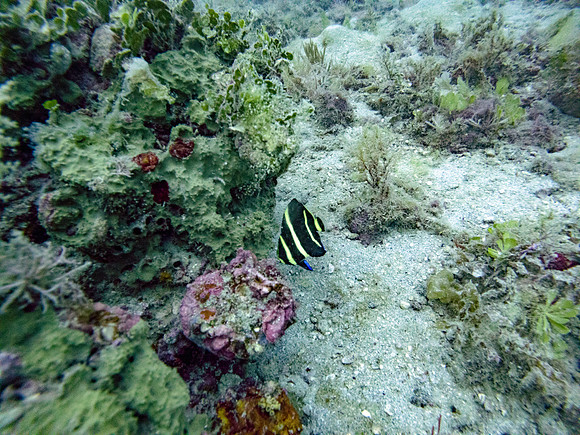 G0060030-Edit