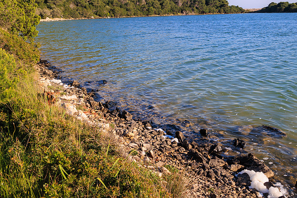 R6225021