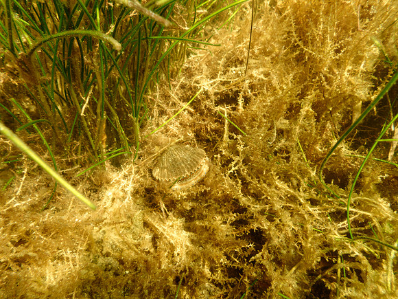 P7130636