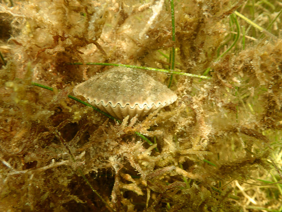 P7140749