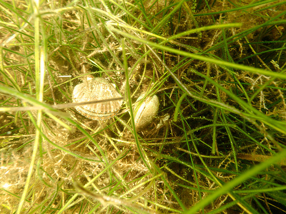 P7130618