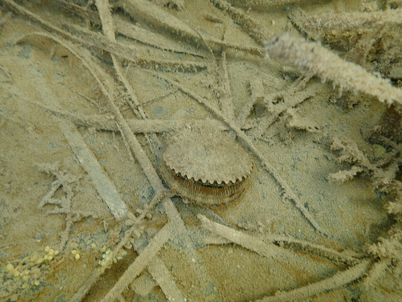 P7150771