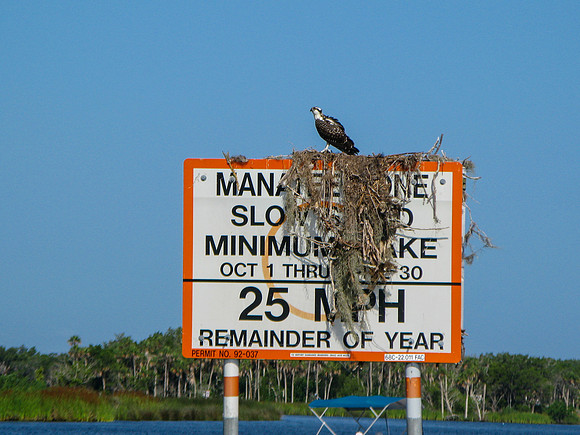 g9-6529