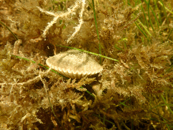 P7140747