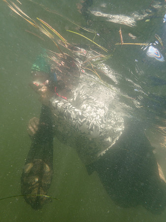 P7170884