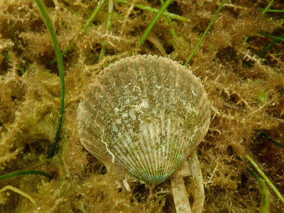 P7130628