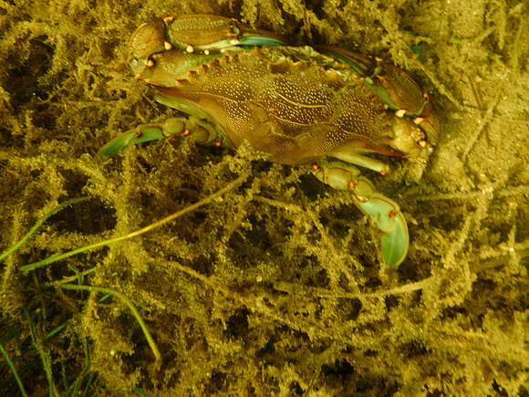 P7120560