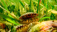 IMG_5093-Edit
