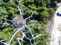 DJI_0170