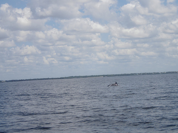 P9082749