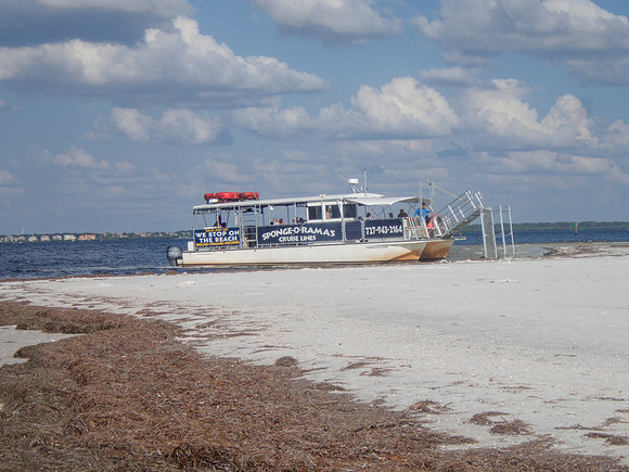 P9082869