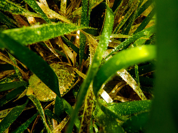 P7252483-Edit
