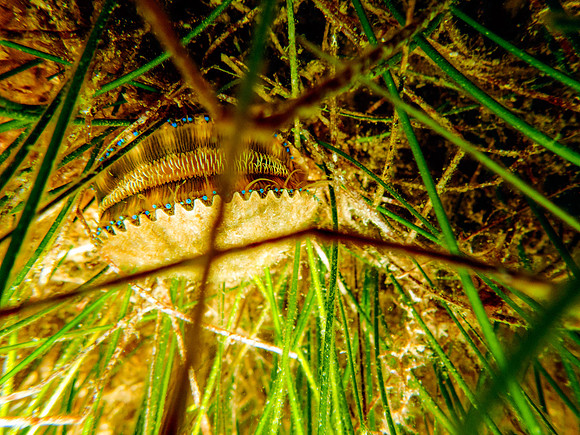 P7282598-Edit