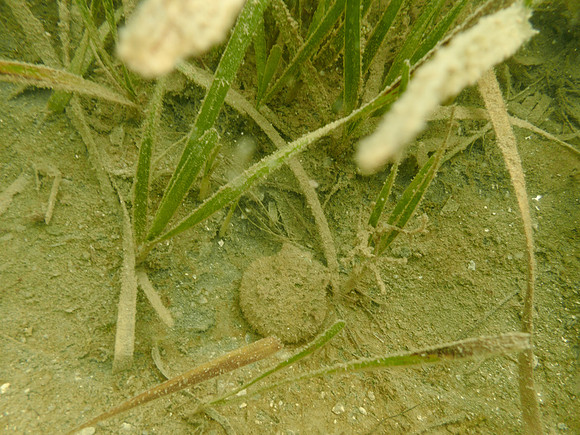 P7150774