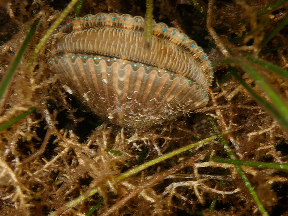 P7130651