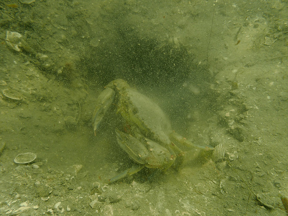 P7160847
