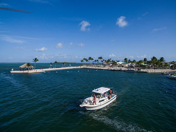 DJI_0558