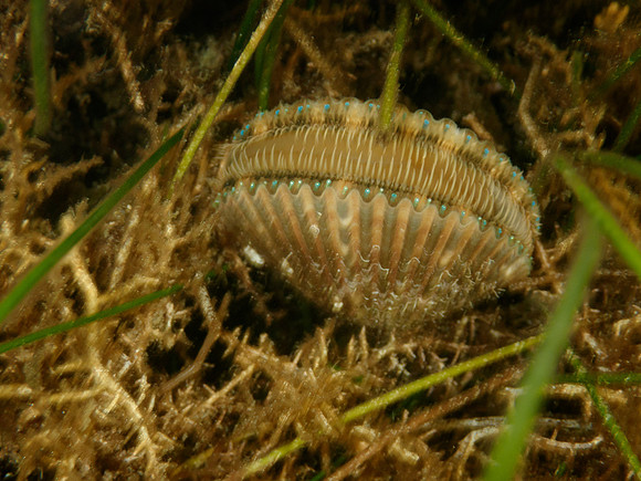 P7130652