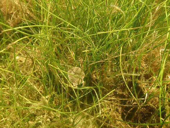 P7130624