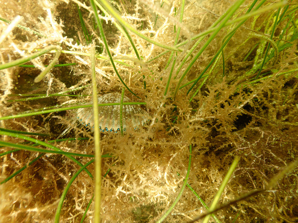 P7140751