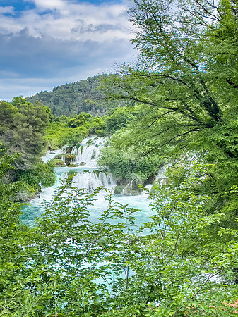IMG_3659