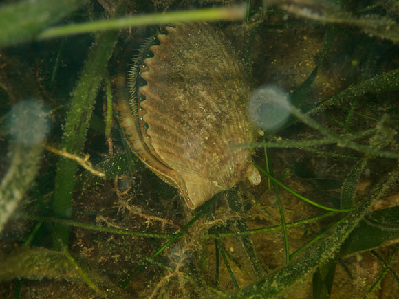 P7120541