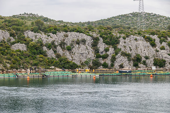 R6226400