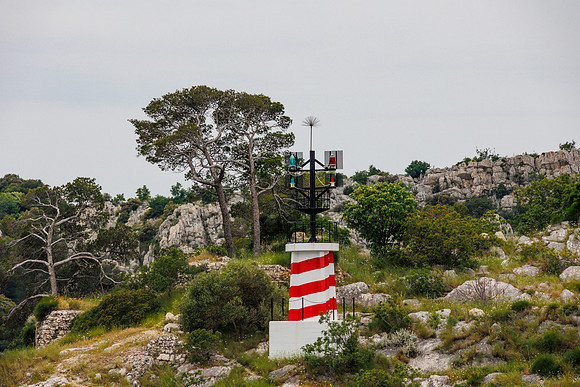 R6226676