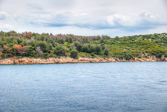 R6226755_6_7