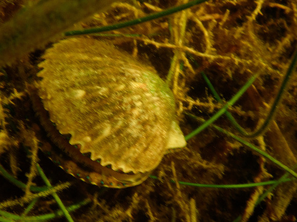 P7120547