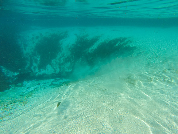 GOPR0818