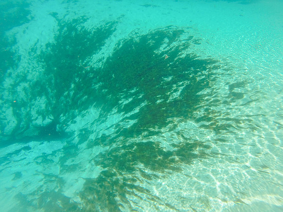 GOPR0820