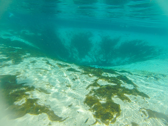 G0010831